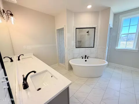 Bath - 758 Coahoma Ct, Nesbit, MS 38651 photo 1 of 4