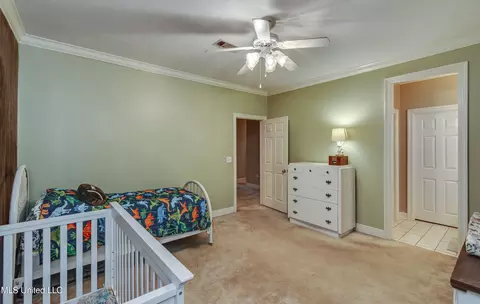 306 Renees Way, Madison, MS 39110 photo 30