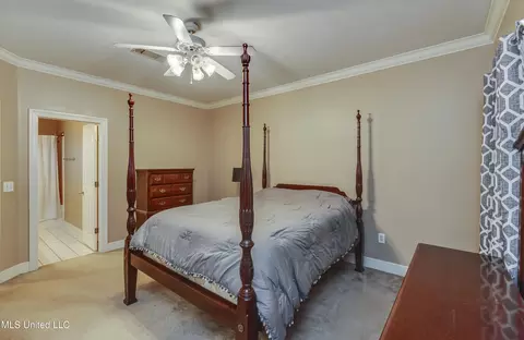 306 Renees Way, Madison, MS 39110 photo 31
