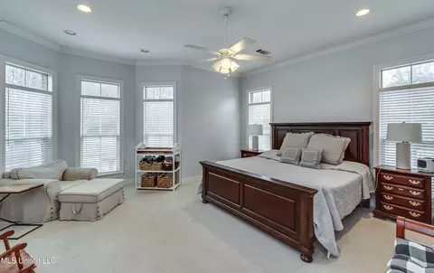 306 Renees Way, Madison, MS 39110 photo 23