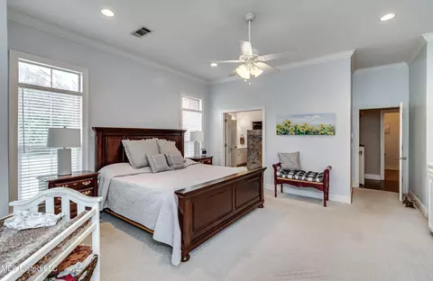 306 Renees Way, Madison, MS 39110 photo 21
