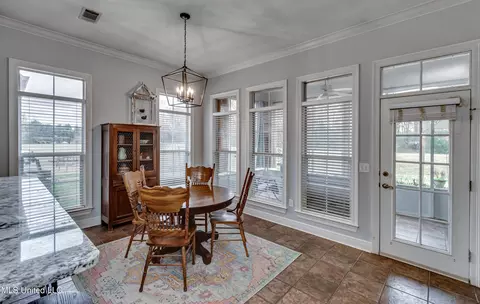 306 Renees Way, Madison, MS 39110 photo 13