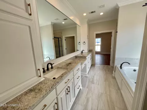 Bath - 200 Azure Dr, Canton, MS 39046 photo 2 of 6