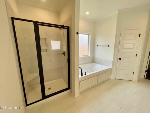 Bath - 196 Azure Dr, Canton, MS 39046 photo 3 of 6