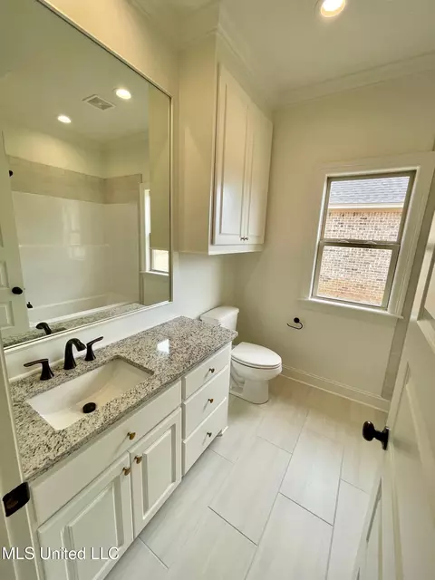 Bath - 196 Azure Dr, Canton, MS 39046 photo 6 of 6