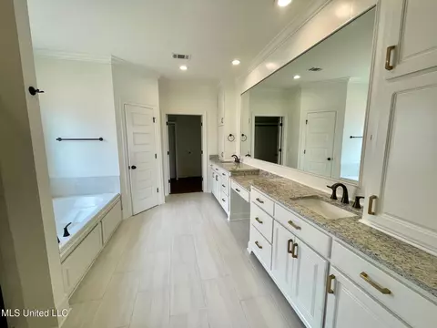Bath - 196 Azure Dr, Canton, MS 39046 photo 5 of 6