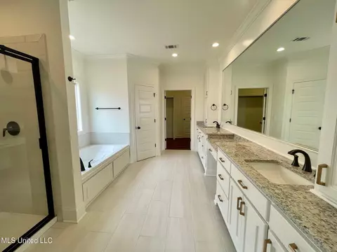 Bath - 196 Azure Dr, Canton, MS 39046 photo 1 of 6