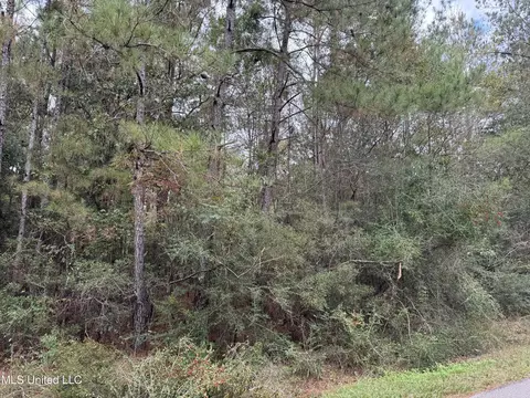 0 Dupont Harts Chapel Rd, Poplarville, MS 39470
