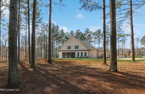 461 Viewpointe Way, Clinton, MS 39056 photo 56