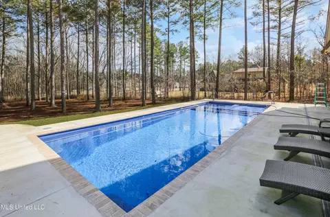 461 Viewpointe Way, Clinton, MS 39056 photo 47