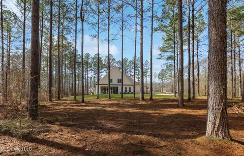 461 Viewpointe Way, Clinton, MS 39056 photo 55