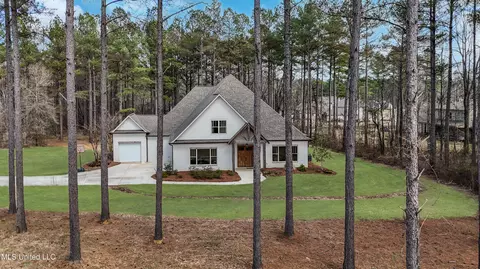 461 Viewpointe Way, Clinton, MS 39056 photo 54
