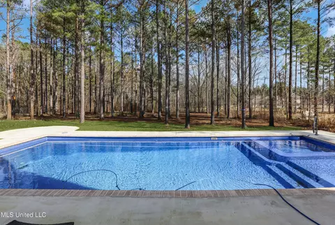 461 Viewpointe Way, Clinton, MS 39056 photo 45