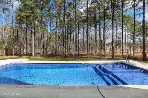461 Viewpointe Way, Clinton, MS 39056 photo 2