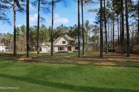 461 Viewpointe Way, Clinton, MS 39056 photo 49