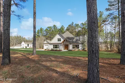 461 Viewpointe Way, Clinton, MS 39056 photo 50