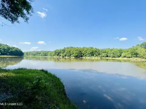 County Road 65, Winona, MS 38967
