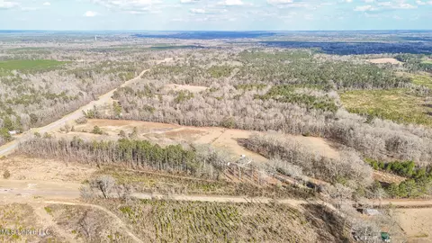 Other - 110 Cody Barton Ln, Braxton, MS 39044 photo 30 of 31
