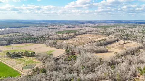Other - 110 Cody Barton Ln, Braxton, MS 39044 photo 27 of 31