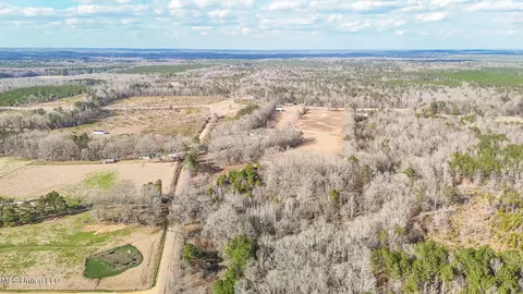 Other - 110 Cody Barton Ln, Braxton, MS 39044 photo 29 of 31