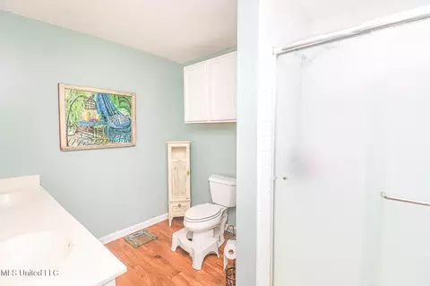 Bath - 110 Cody Barton Ln, Braxton, MS 39044 photo 6 of 7