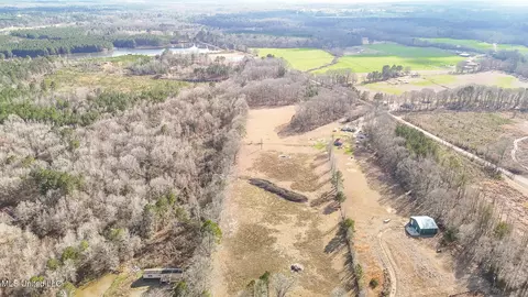 Other - 110 Cody Barton Ln, Braxton, MS 39044 photo 26 of 31