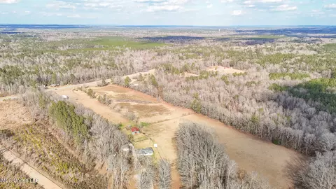 Other - 110 Cody Barton Ln, Braxton, MS 39044 photo 21 of 31