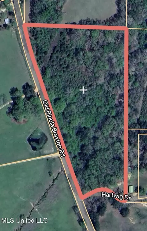 Other - 110 Cody Barton Ln, Braxton, MS 39044 photo 23 of 31