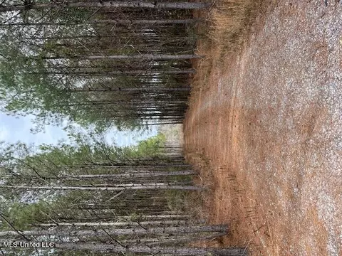 Tba Sand Hill Road, Ellisville, MS 39437