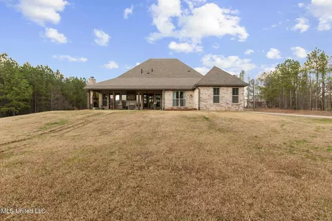 Exterior - 157 Bella Fleur Dr, Florence, MS 39073 photo 15 of 31