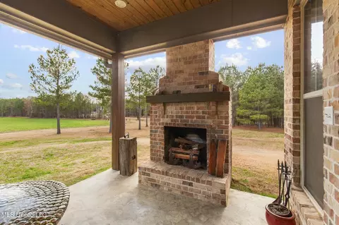 Exterior - 157 Bella Fleur Dr, Florence, MS 39073 photo 17 of 31