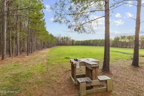 Other - 157 Bella Fleur Dr, Florence, MS 39073 photo 21 of 37
