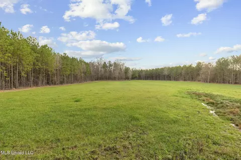 Other - 157 Bella Fleur Dr, Florence, MS 39073 photo 25 of 37