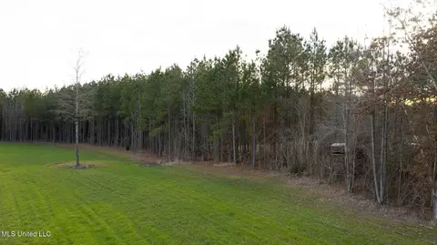 Other - 157 Bella Fleur Dr, Florence, MS 39073 photo 37 of 37