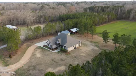 Other - 157 Bella Fleur Dr, Florence, MS 39073 photo 31 of 37