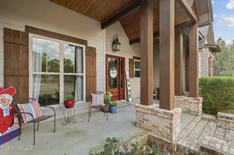 Exterior - 157 Bella Fleur Dr, Florence, MS 39073 photo 8 of 31