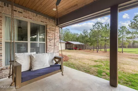 Exterior - 157 Bella Fleur Dr, Florence, MS 39073 photo 12 of 31