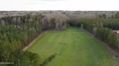 Other - 157 Bella Fleur Dr, Florence, MS 39073 photo 34 of 37