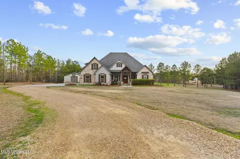 Exterior - 157 Bella Fleur Dr, Florence, MS 39073 photo 30 of 31