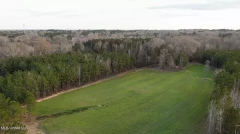 Other - 157 Bella Fleur Dr, Florence, MS 39073 photo 35 of 37