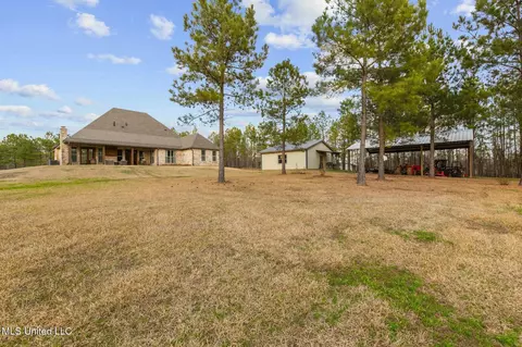 Exterior - 157 Bella Fleur Dr, Florence, MS 39073 photo 23 of 31