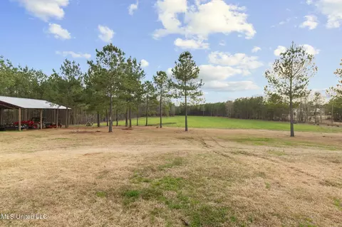 Exterior - 157 Bella Fleur Dr, Florence, MS 39073 photo 20 of 31