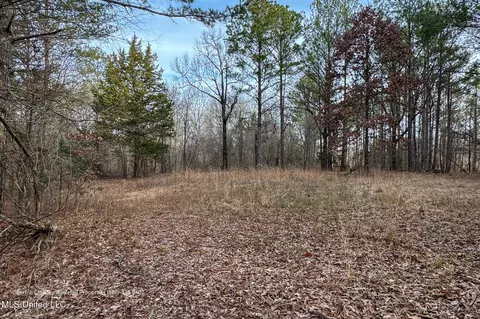 Enid Dam Rd. Road, Pope, MS 38658 photo 17