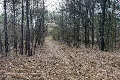 Enid Dam Rd. Road, Pope, MS 38658 photo 11