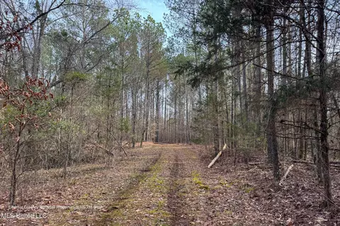 Enid Dam Rd. Road, Pope, MS 38658 photo 6