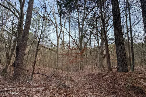 Enid Dam Rd. Road, Pope, MS 38658 photo 34