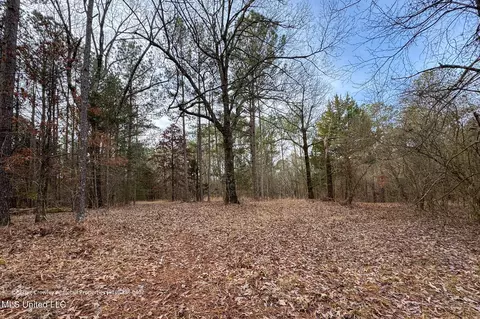 Enid Dam Rd. Road, Pope, MS 38658 photo 16