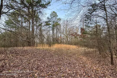 Enid Dam Rd. Road, Pope, MS 38658 photo 12