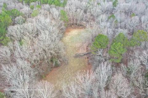 Enid Dam Rd. Road, Pope, MS 38658 photo 38