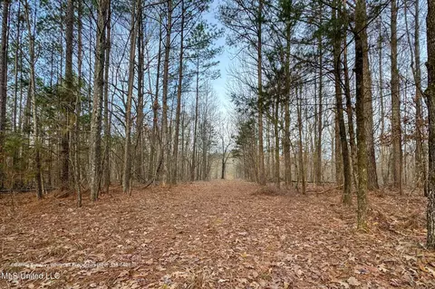Enid Dam Rd. Road, Pope, MS 38658 photo 26